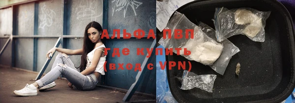 амф Зеленокумск