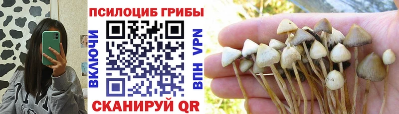 Галлюциногенные грибы ЛСД  закладка  Энгельс 